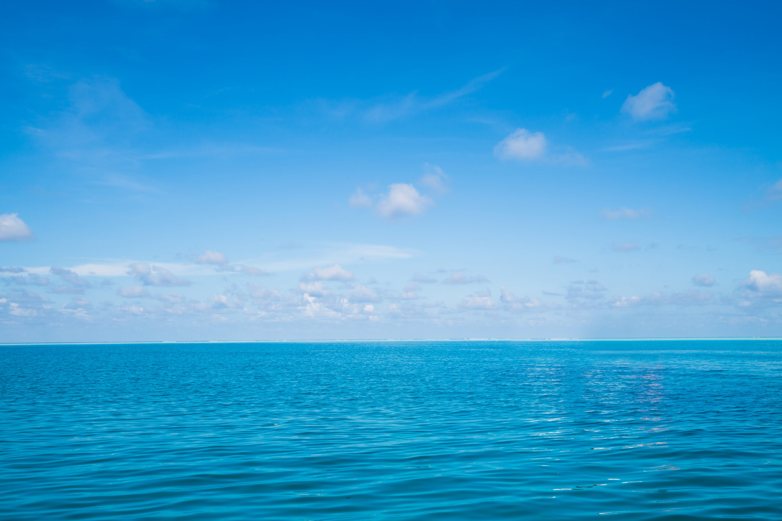 墓じまい後の散骨はできる？手続きから費用相場まで解説