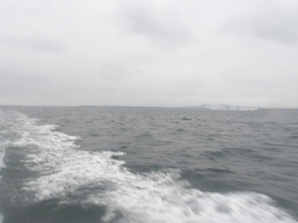 2025年10月25日 東京湾 | 遺骨供養ウーナ