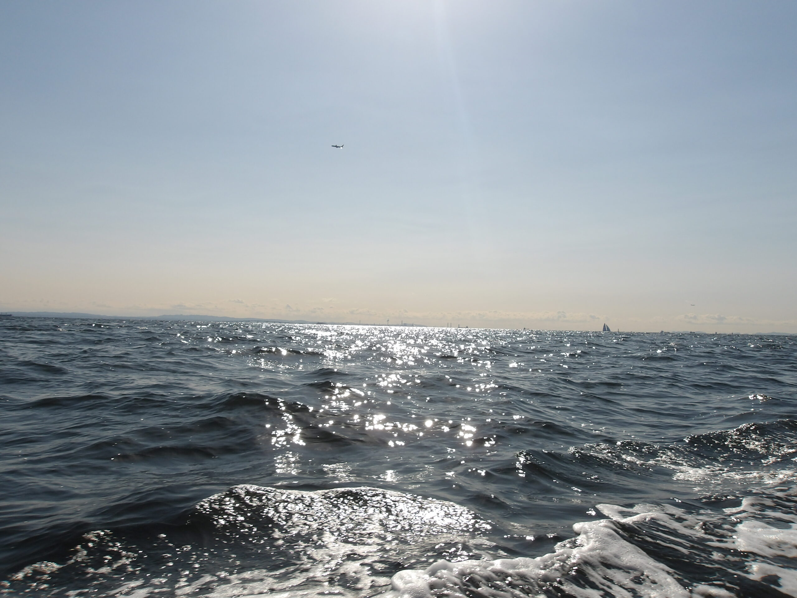 2026年1月30日  東京湾